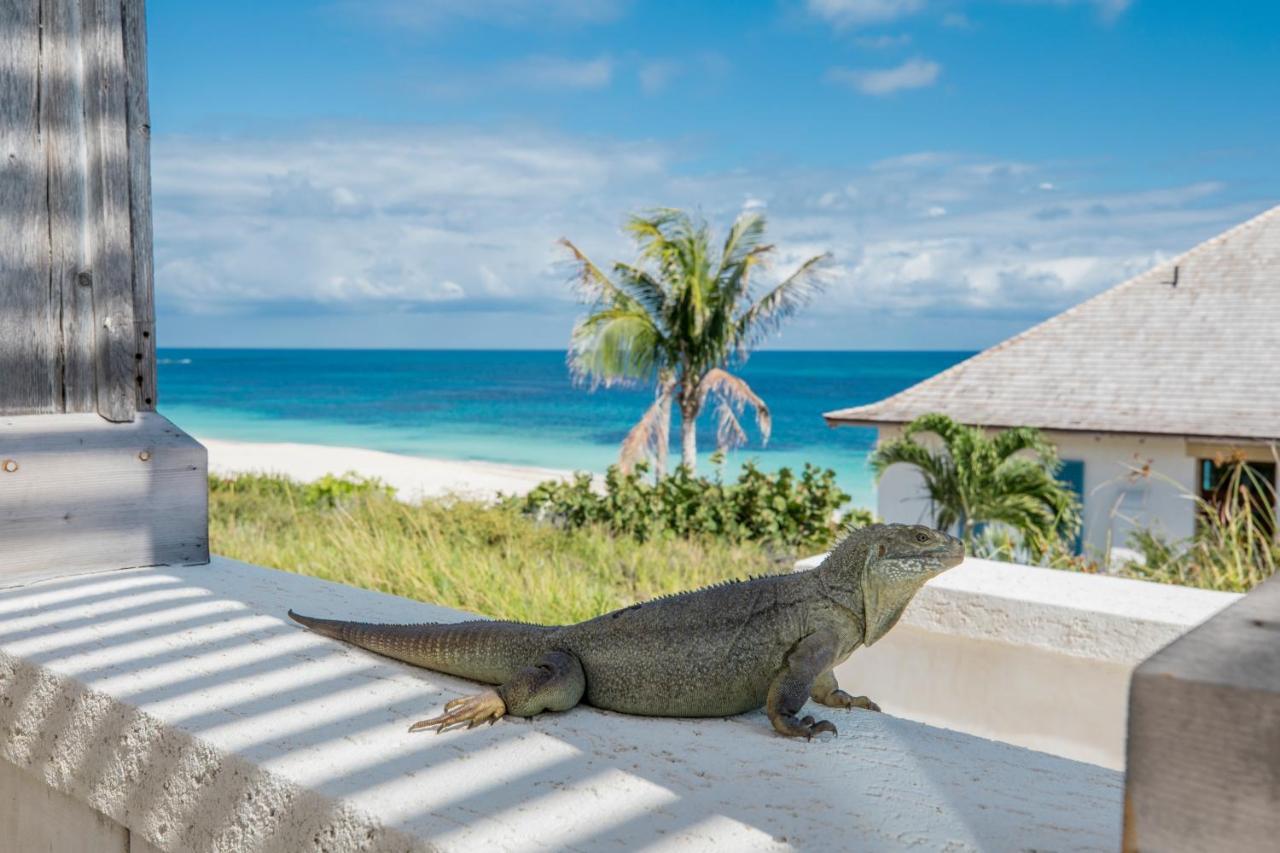 Ambergris Cay Private Island All Inclusive - Pls Island Hopper Flight Included Big Ambergris Cay المظهر الخارجي الصورة