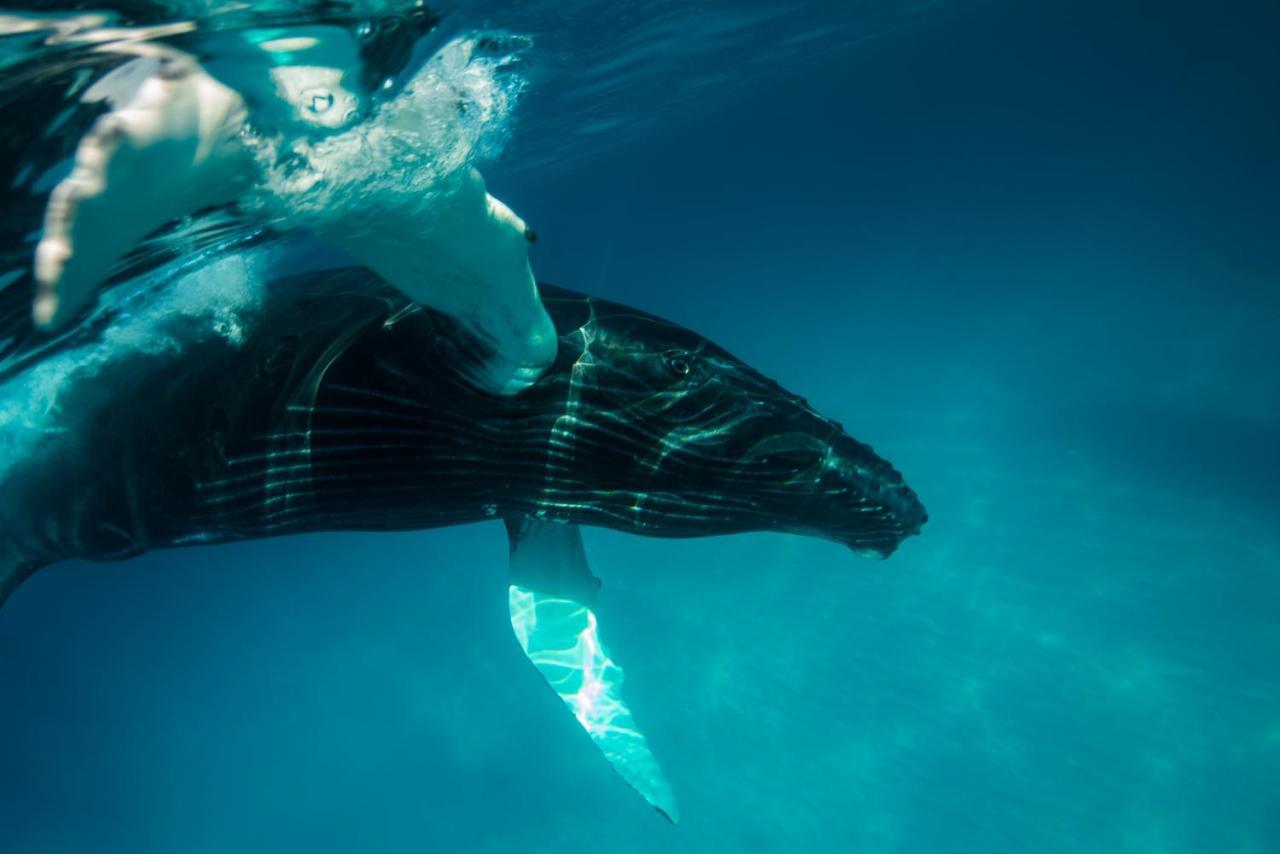 Ambergris Cay Private Island All Inclusive - Pls Island Hopper Flight Included Big Ambergris Cay المظهر الخارجي الصورة
